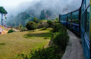 Darjeeling group tour  NJP to NJP
